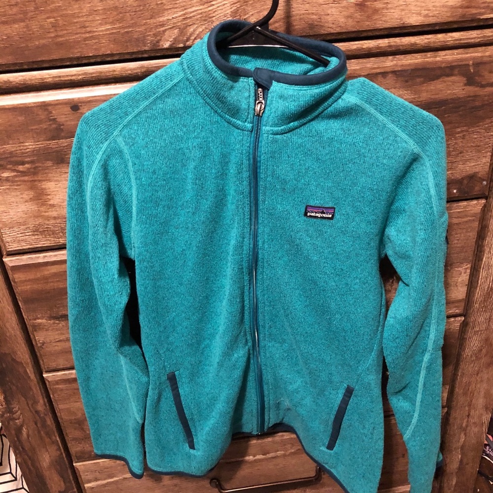 Patagonia better sweater